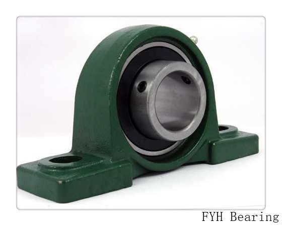 FYH SBBR 205-16KG5 Bearings
