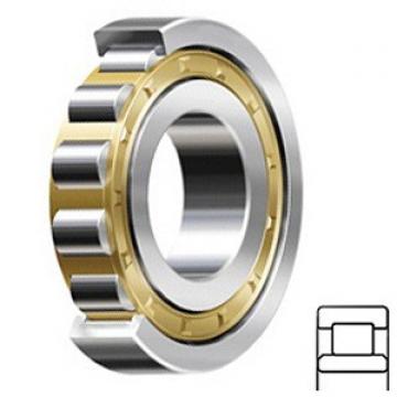 0.591 Inch | 15 Millimeter x 1.378 Inch | 35 Millimeter x 0.551 Inch | 14 Millimeter  CONSOLIDATED BEARING NU-2202E M C/3  Cylindrical Roller Bearings