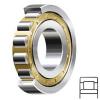 2.756 Inch | 70 Millimeter x 4.921 Inch | 125 Millimeter x 0.945 Inch | 24 Millimeter  CONSOLIDATED BEARING NU-214 M  Cylindrical Roller Bearings