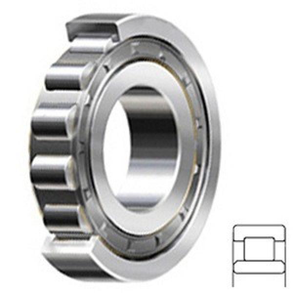 4.724 Inch | 120 Millimeter x 8.465 Inch | 215 Millimeter x 1.575 Inch | 40 Millimeter  CONSOLIDATED BEARING NU-224 C/4  Cylindrical Roller Bearings #3 image