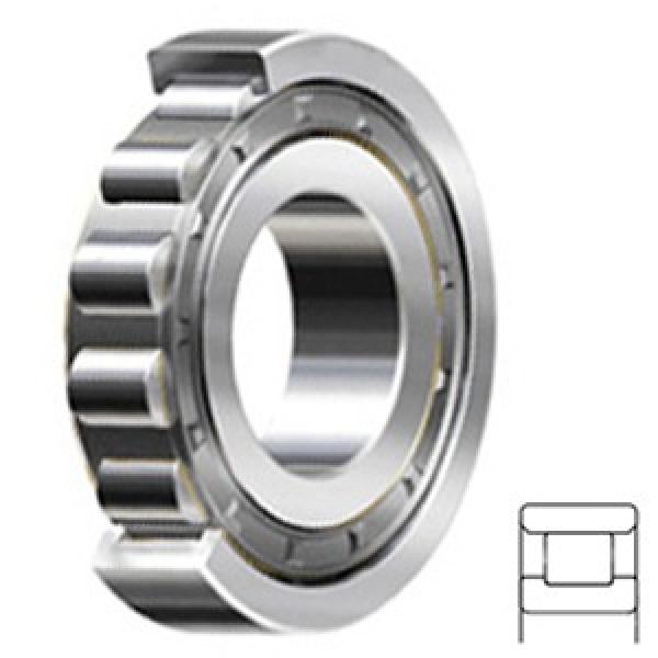 7.5 Inch | 190.5 Millimeter x 10 Inch | 254 Millimeter x 1.25 Inch | 31.75 Millimeter  CONSOLIDATED BEARING RXLS-7 1/2  Cylindrical Roller Bearings #3 image