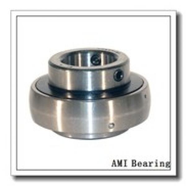 AMI UCC201  Cartridge Unit Bearings #1 image