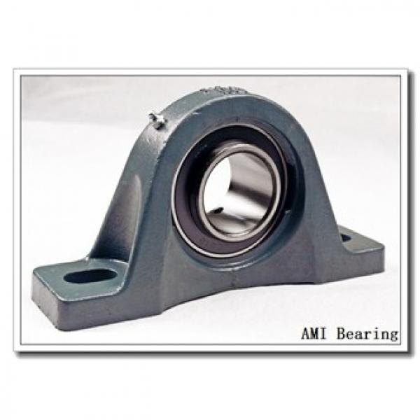 AMI UCC201  Cartridge Unit Bearings #2 image