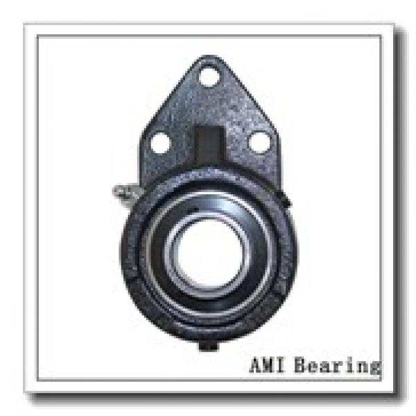 AMI BNFL6-19CW  Flange Block Bearings #1 image