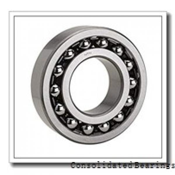 0.984 Inch | 25 Millimeter x 1.575 Inch | 40 Millimeter x 0.669 Inch | 17 Millimeter  CONSOLIDATED BEARING NAO-25 X 40 X 17  Needle Non Thrust Roller Bearings #1 image