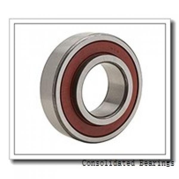 0.472 Inch | 12 Millimeter x 0.748 Inch | 19 Millimeter x 0.787 Inch | 20 Millimeter  CONSOLIDATED BEARING RNAO-12 X 19 X 20  Needle Non Thrust Roller Bearings #1 image